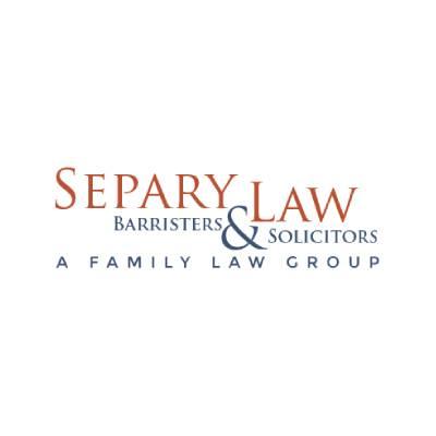Family Lawyer Divorce Child Support and Custody Lawyer  Separy L