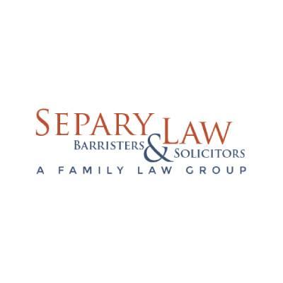 Family Lawyer Divorce Child Support and Custody Lawyer  Separy L