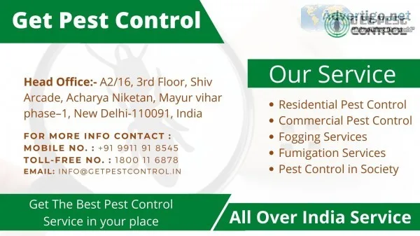 Best pest control in noida, pest control charges in noida