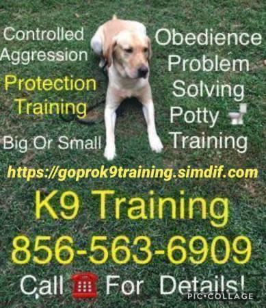 Handling all issues K9&rsquos