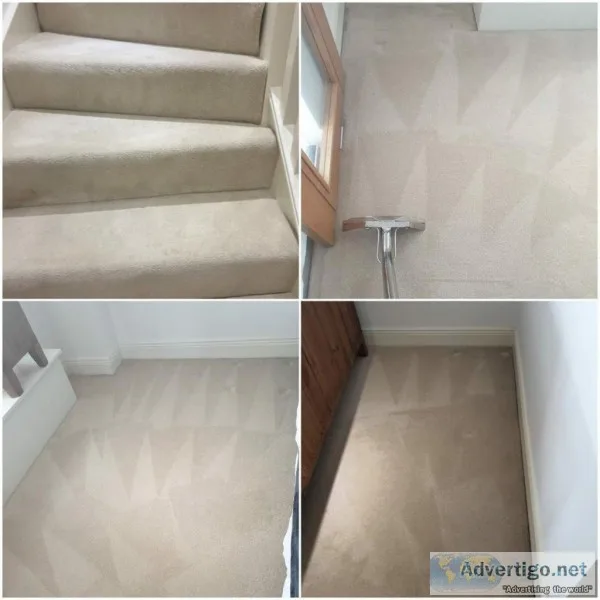 carpet cleaning motherwell