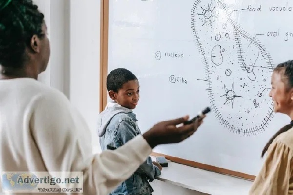 HSC Home Tutoring - Sydney wide