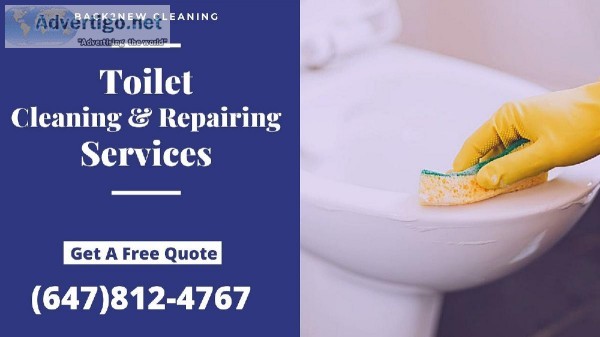 Toilet Repair Services in Mississauga.