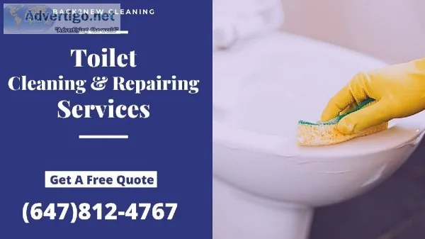 Toilet Repair Services in Mississauga.