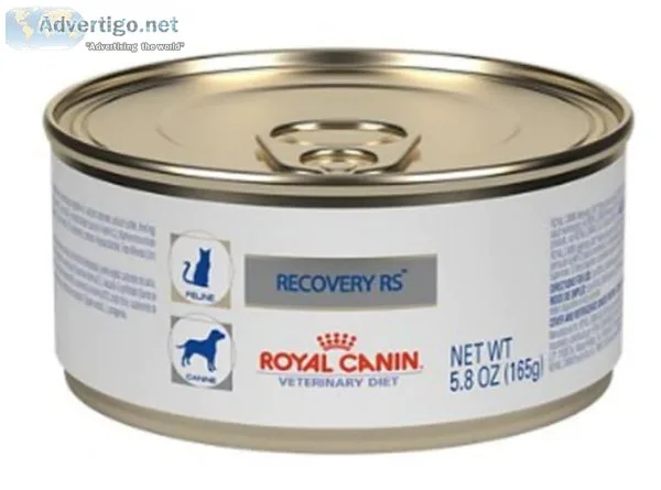 Royal Canin Veterinary Diet Feline Dog and Cat Food  Goober Pet 