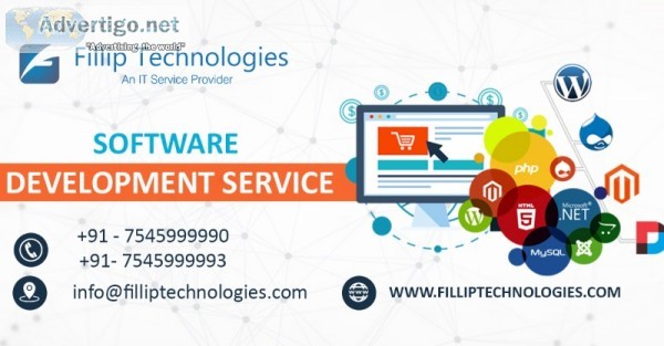 Website design company in patna: fillip technologies