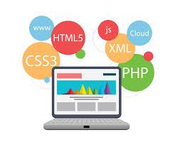 Software Services Company in Pune