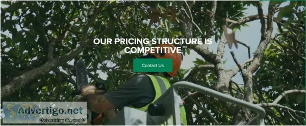 Avail the expert tree cutting services