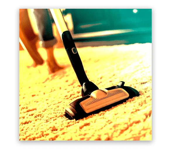 Carpet Cleaning Chadstone