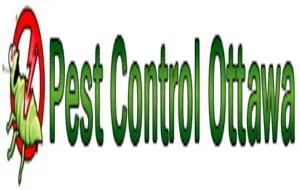 Bed Bugs treatment