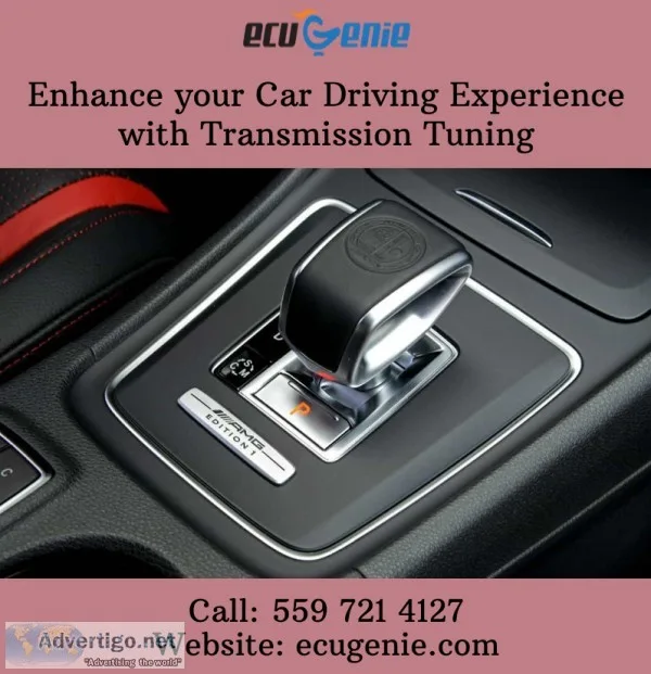 Transmission Tune Up