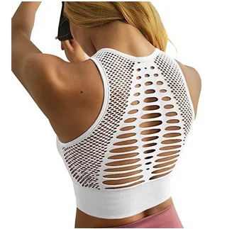 Seamless Padded Sports Bra ShoppySanta