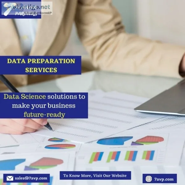 Data Preparation Services Company &ndash 7 AVP