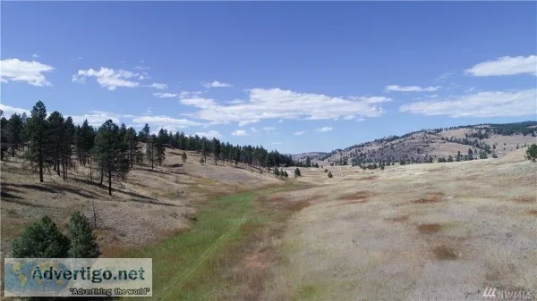 Stunning Mountain Views