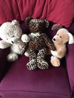 3 Teddy Bears