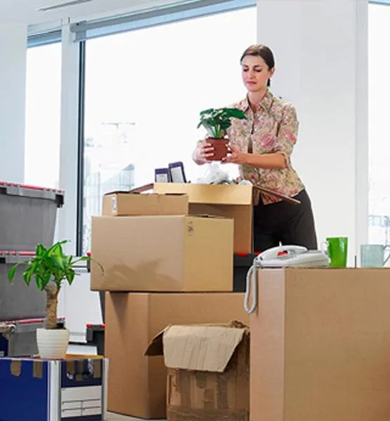 Aarkaypackers Warehouse Storage Solutions Bangalore