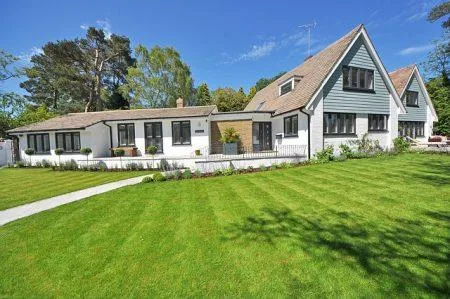 Hire Tree Services Sydney and Get Picture-Perfect Look