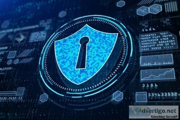 NSPL Cyber Security SolutionsEnd to End cyber security services 