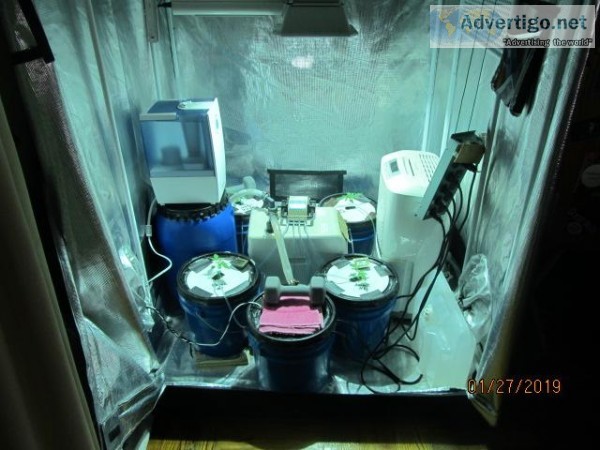Complete grow system... value over 6000