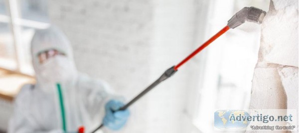 Best Mold Remediation and Mold Removal in Dallas - Kings Restora