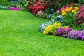 Best Garden Design for Small Gardens in Florida