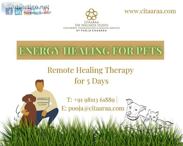 Energy Healing For Pets (For 5 Days)