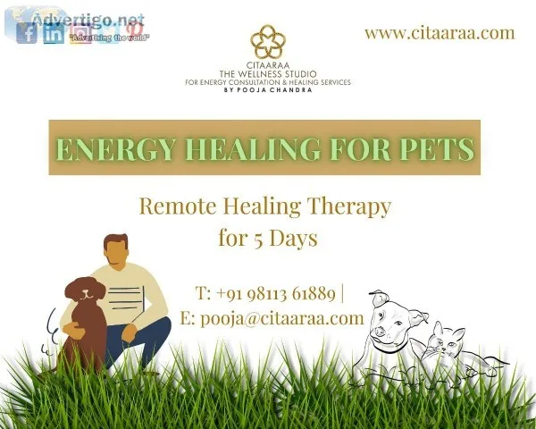 Energy Healing For Pets (For 5 Days)