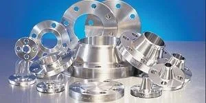 STAINLESS STEEL 316 FLANGES