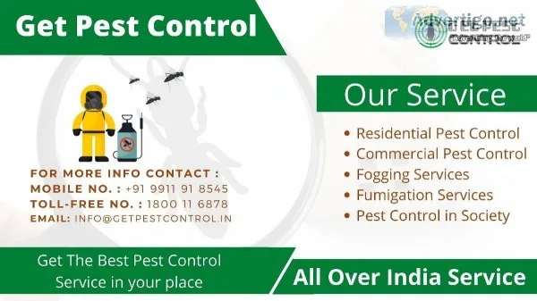 Best Pest Control in Ghaziabad Pest Control Charges in Ghaziabad