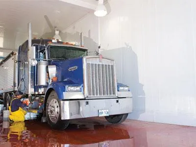 Are you looking for a potent solution for your car washing shed 