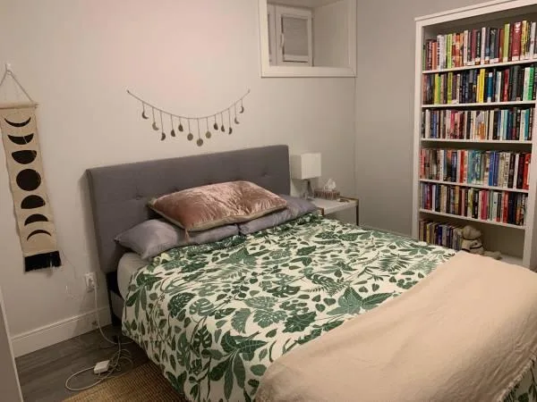 1 bedroom lower level - Little Italy Dufferin Grove