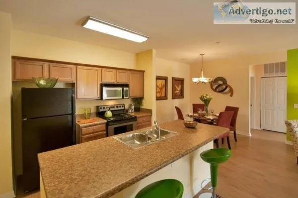 1 Bedroom Apartment - Available March 1st