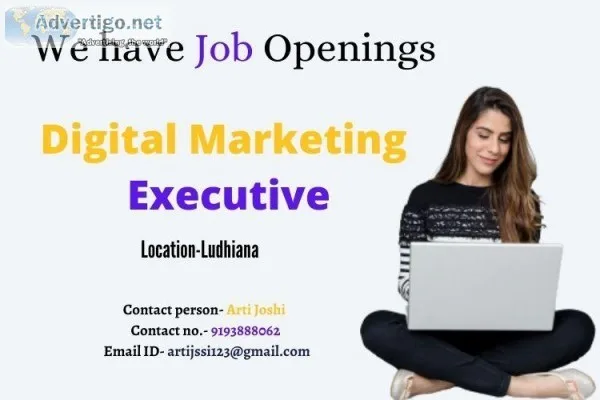 JOB PROFILE-  DIGITAL MARKETING EXECUTIVE