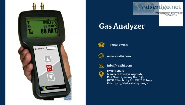 Gas analyzer
