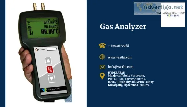Gas analyzer