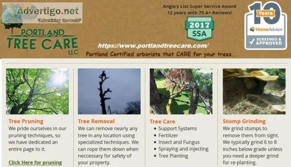 Tree pruning service in Portland Gresham Troutdale