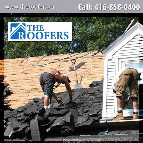 Roofing Services in Kleinburg  HomeStars Winner  The Roofers