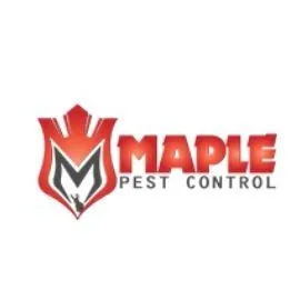 Bed Bugs  Pest Control and Removal in Brampton