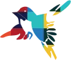 Top Houston TX Web Designing Company