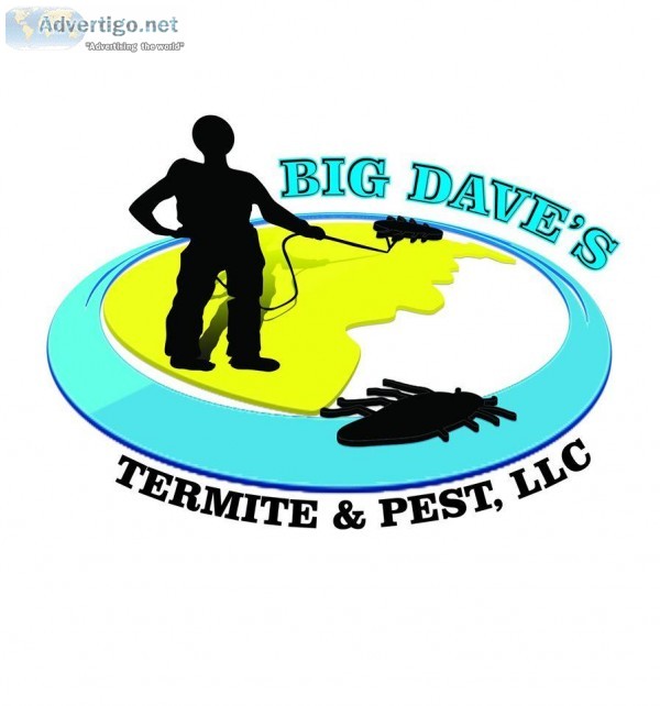 Big Dave s Termite and Pest Control