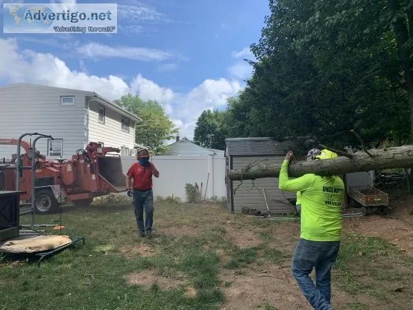 Tree Service in North Arlington NJ