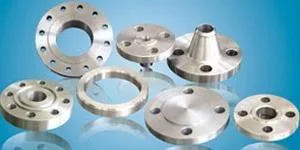 STAINLESS STEEL 316L FLANGES