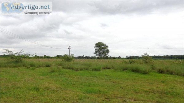 Land Parcels in industrial zone Dholera Smart city SmartDholera
