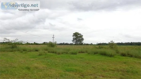 Land Parcels in industrial zone Dholera Smart city SmartDholera