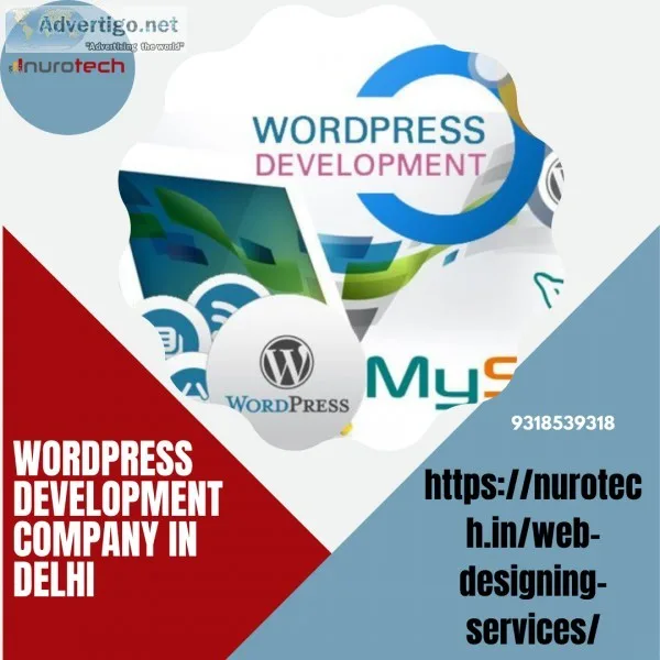 Give Best Service Wordpress Development Company in Delhi