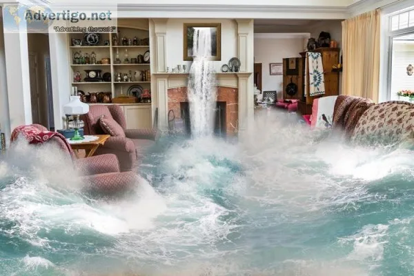 Water Damage Maple Grove