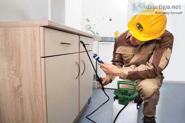 Best pest control birmingham alabama
