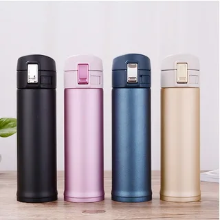 Stainless Steel Thermal Bottle ShoppySanta