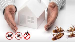 Pest Control Services in Jamshedpur