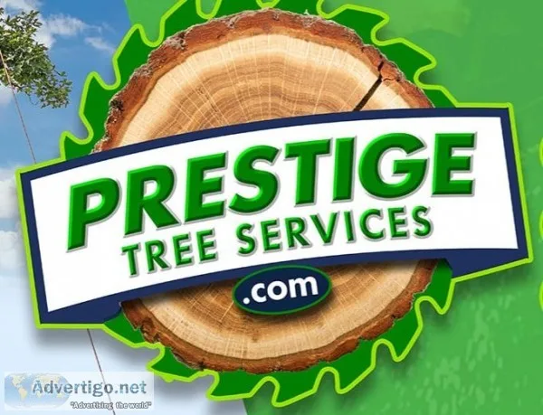 Philadelphia Tree Service